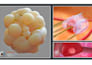 create professional high quality 3d 2d medical animation video